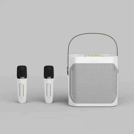 Bluetooth Speaker High Power Karaoke with Dual Microphone Boombox Portable 360 Stereo Surround Waterproof Wireless Subwoofer