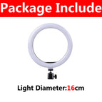 16cm Only Lamp