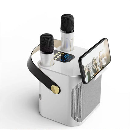 Bluetooth Speaker High Power Karaoke with Dual Microphone Boombox Portable 360 Stereo Surround Waterproof Wireless Subwoofer