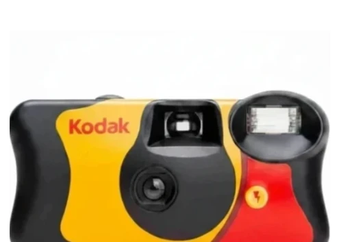 <h4><strong>Disposable Camera</strong></h4>