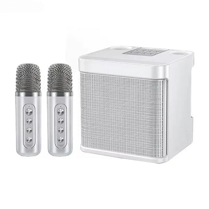 Bluetooth Karaoke Speaker With 2 Wireless Microphones AUX TF U Disk Player Portable For Party Outdoor