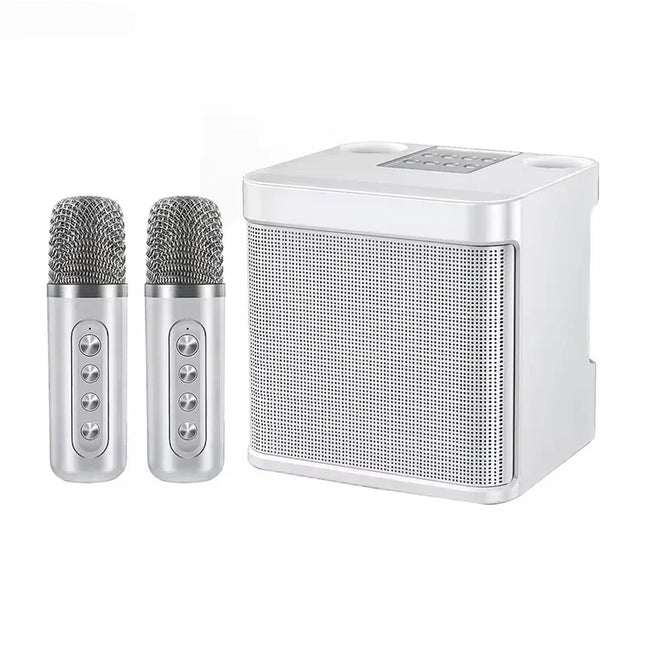 Bluetooth Karaoke Speaker With 2 Wireless Microphones AUX TF U Disk Player Portable For Party Outdoor