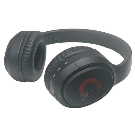 Universal Bluetooth Headphones Bluetooth Earphones with high-speed and low-latency for gold metal detector