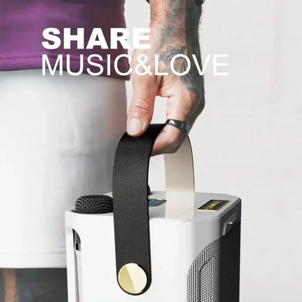 Bluetooth Speaker High Power Karaoke with Dual Microphone Boombox Portable 360 Stereo Surround Waterproof Wireless Subwoofer