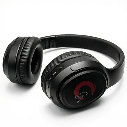 Universal Bluetooth Headphones Bluetooth Earphones with high-speed and low-latency for gold metal detector
